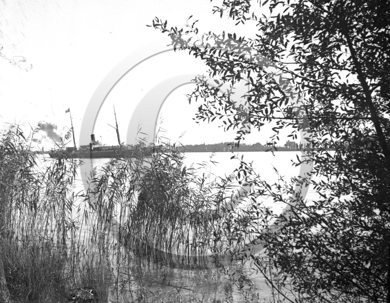 BA 38 bord de Garonne .jpg