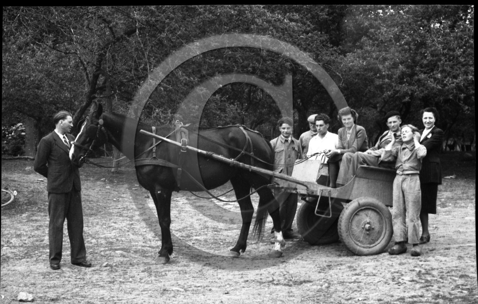 AG 549 carriole attelée cheval et famille .jpg