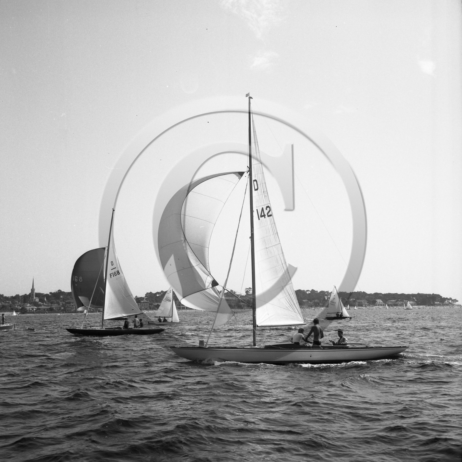 arc 2296 régate de dragons  .jpg