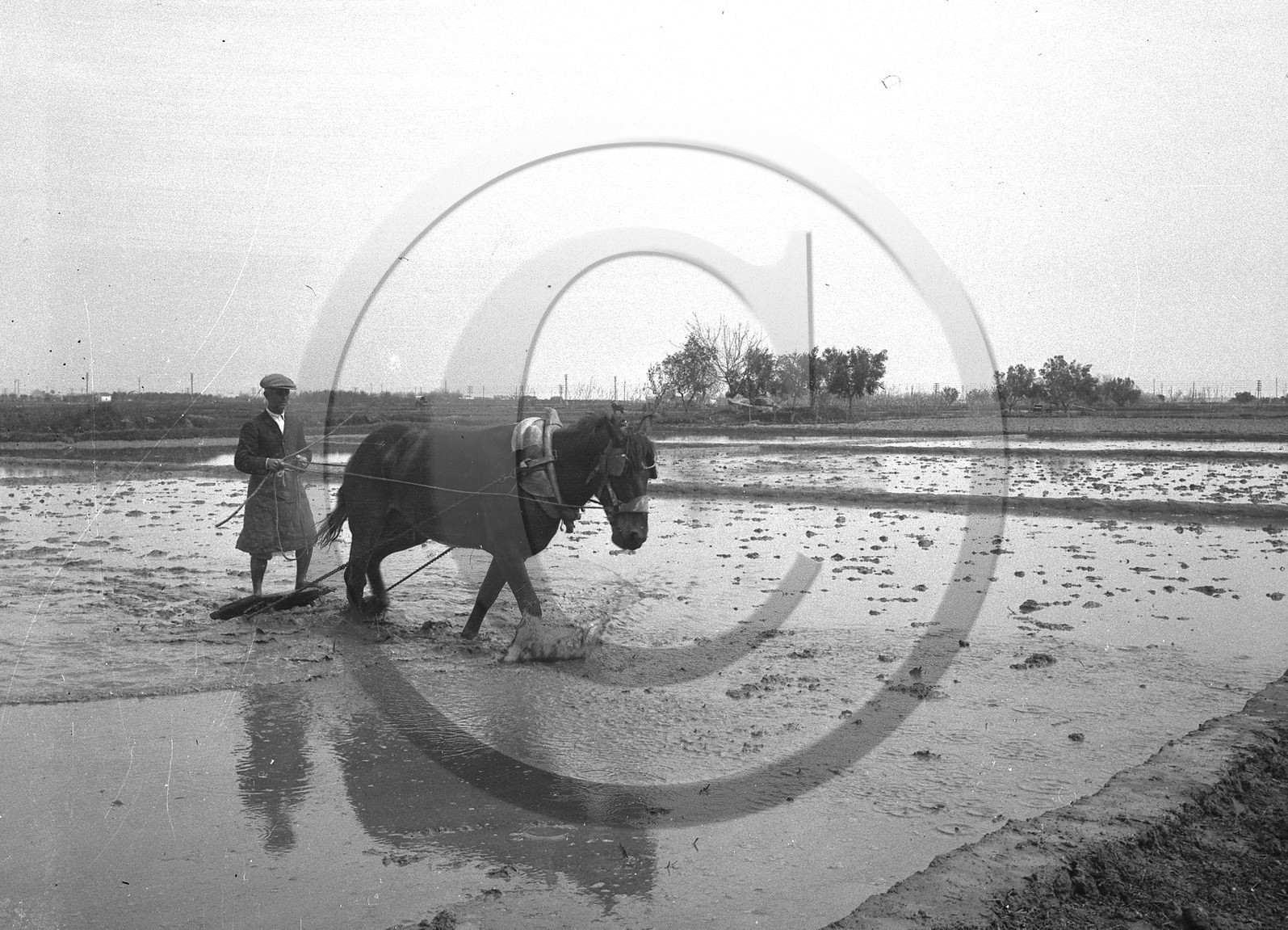 cheval homme- néga dans métier .jpg