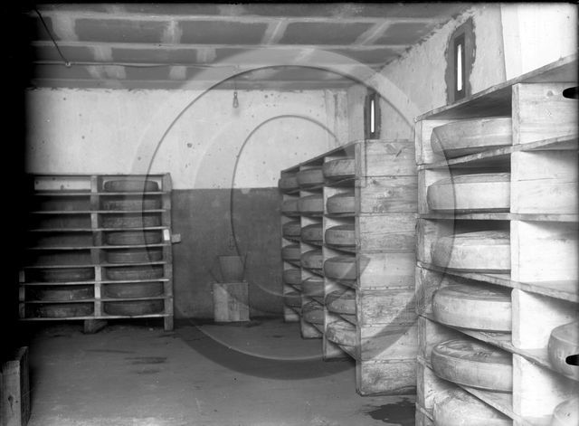 Treves magasin central des cooperatives generales armee du Rhin    meules de fomage  Allemagne .jpg