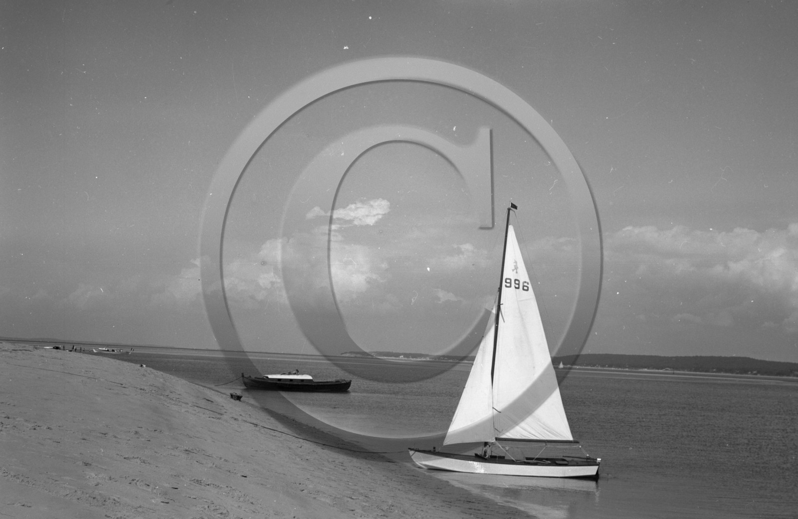 arc 4359 caneton 996 .jpg