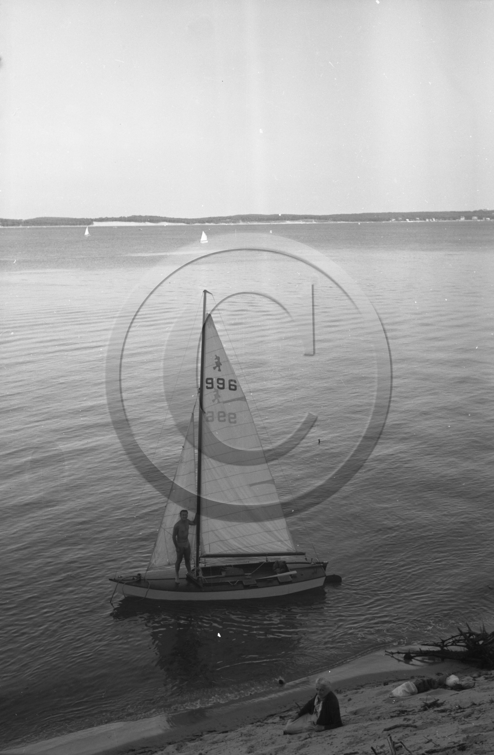 arc 4366 caneton 996 .jpg