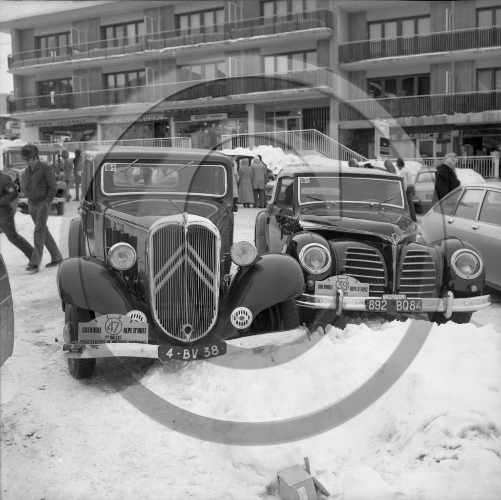 AU 831  Rosengart .jpg