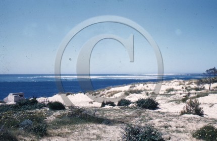 arcachon mur de l'atlantique blockhaus