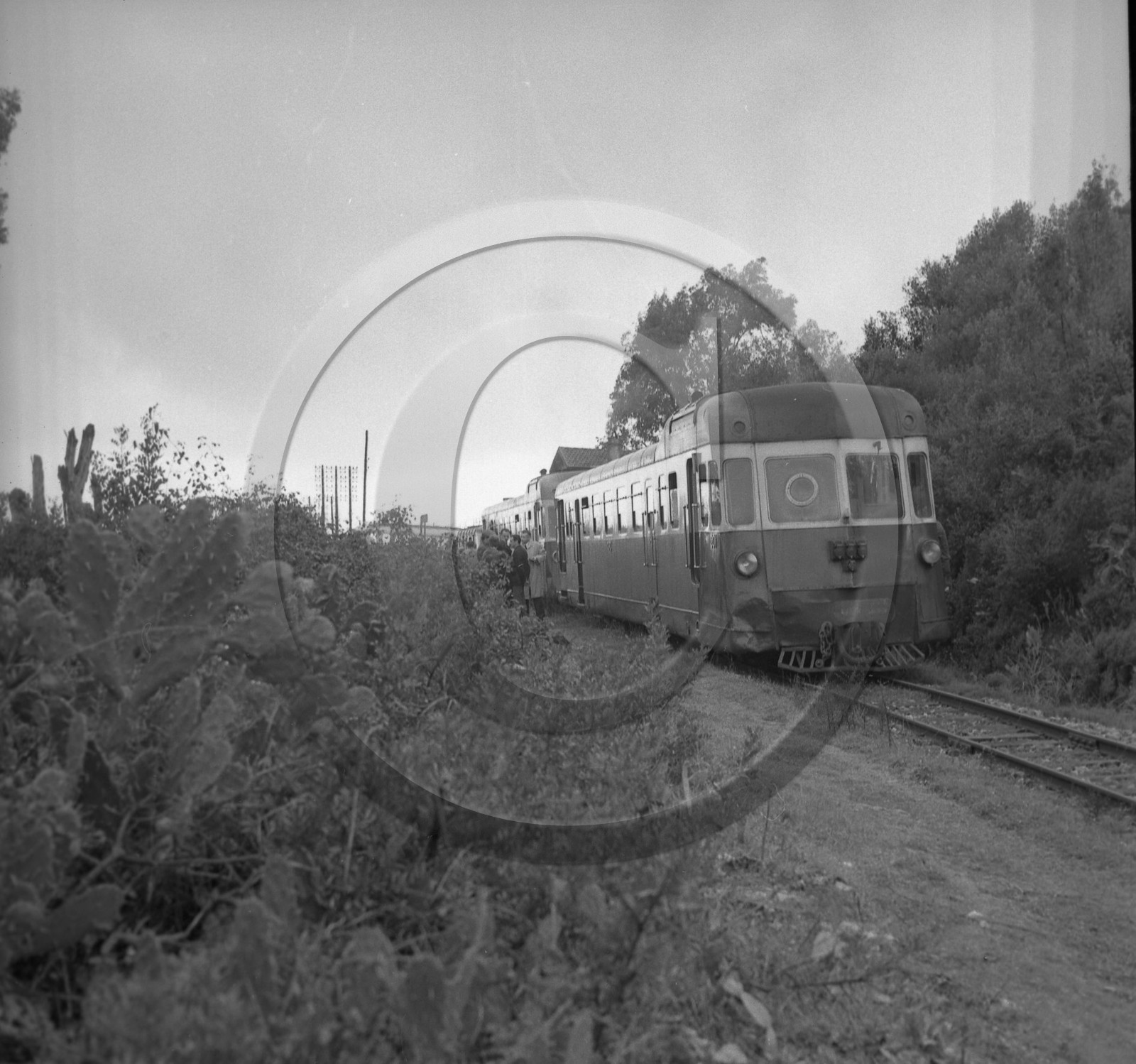 AU 109 AUTORAIL EN CORSE.jpg