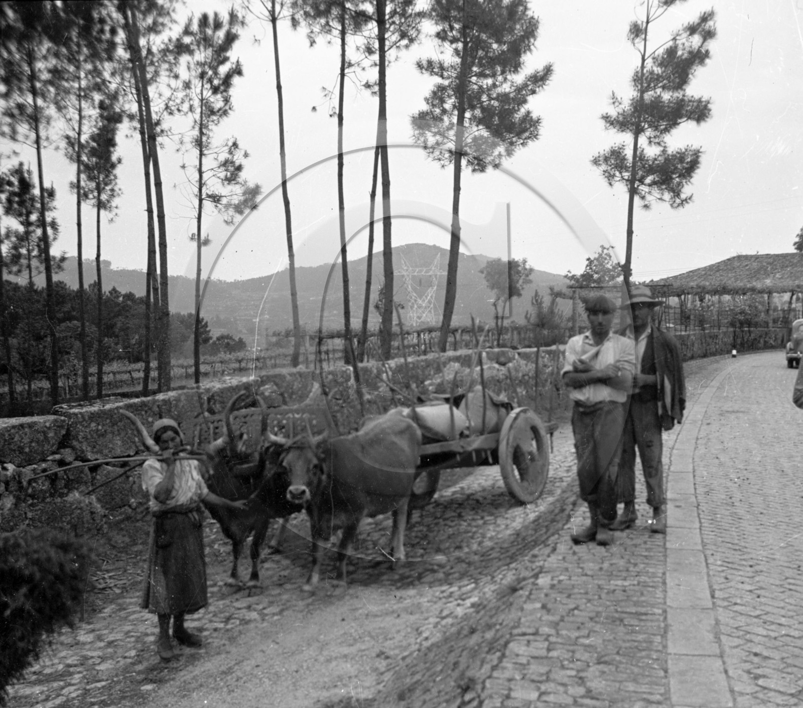 AG 535 portugal .jpg