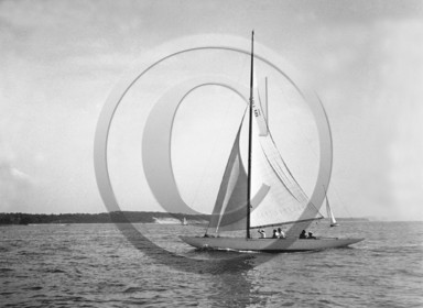 arc 1436 cormoran ou barbara.jpg