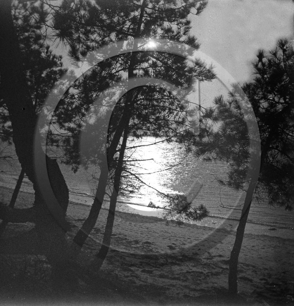 arc 4614 les Abatilles .jpg