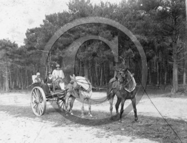 arc 4274  charrette chevaux .jpg