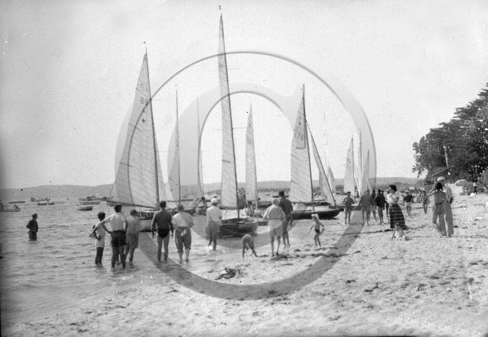 arc 1720   série Dargelos.jpg