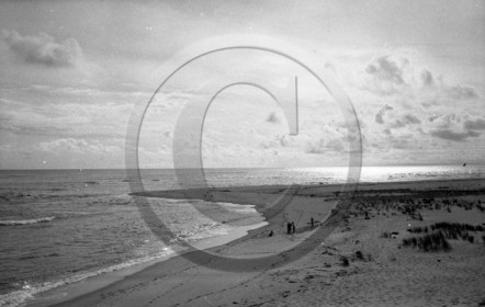 arc 4408 Cap Ferret .jpg