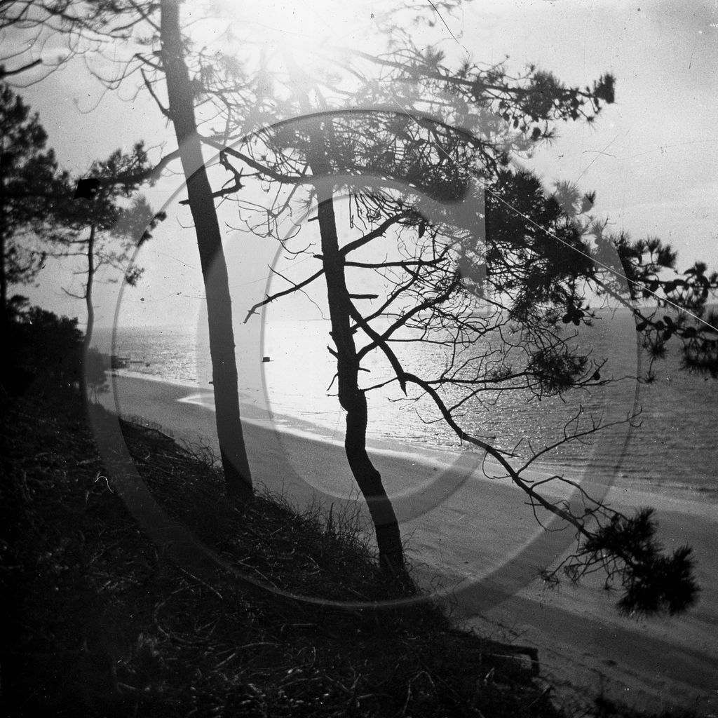 arc 4610 Les Abatilles .jpg