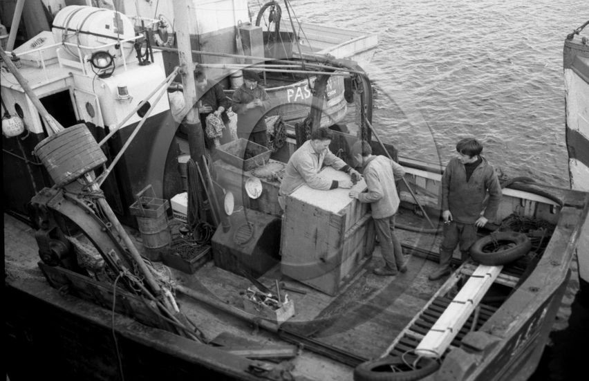 Arcachon -3 décembre 1968 chalutier Nouch gros plan - 3 -.jpg