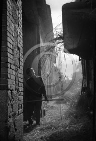 AG 622  travaux agricoles photo Enri Dargence .jpg