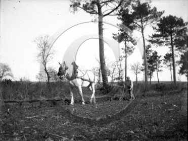 arc 2317 labour dans les pins .jpg