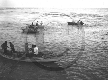 portugal scène de pêche en mer . Aurélia.E. José.jpg