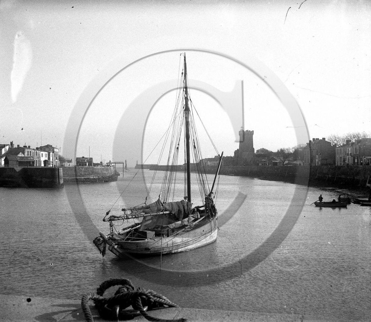 BA 237 les Sable d Olonne gazelle mouillee au trou de la chaume dpt 85 .jpg