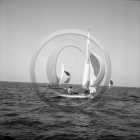 arc 2295  régate de dragons .jpg