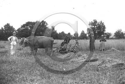 AG faucheuse plaque 13x18.jpg