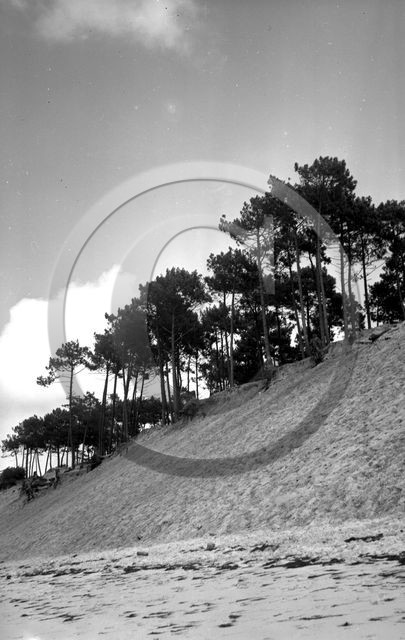 arc 4407  Abatilles .jpg