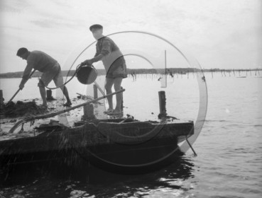 arc 2860 parc à huitres .jpg