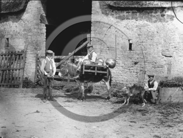 AG 253 plaque 13x18.jpg