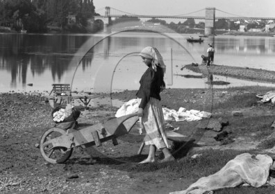 VI 1561  recadré .jpg