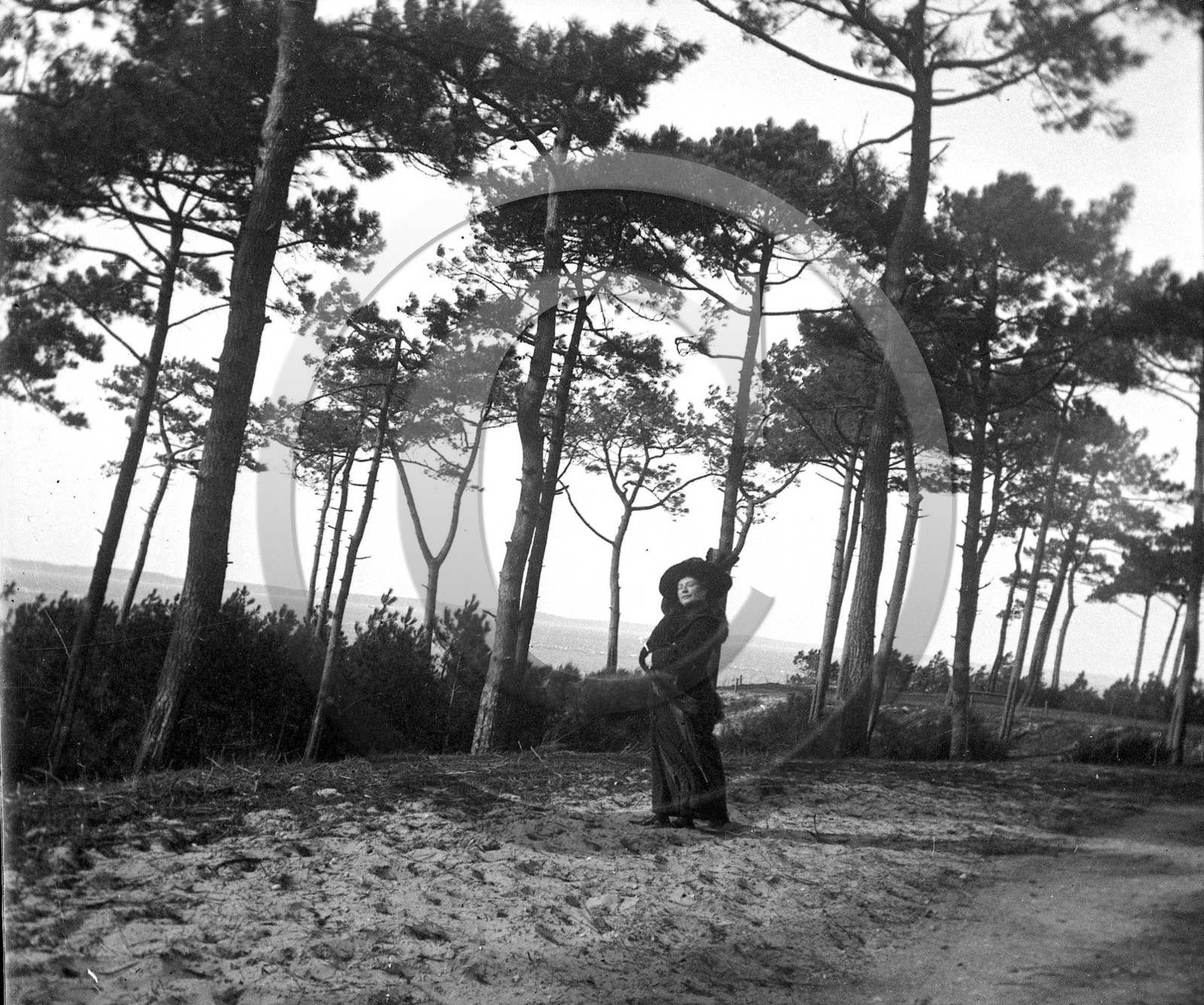 arc 4174 les Abatilles.jpg