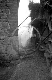 AG 619 travaux agricoles photos Enri Dargence  .jpg