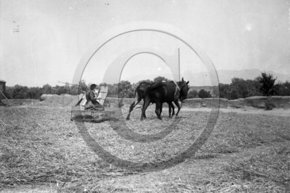 AG 561 outil agricole au champs .jpg