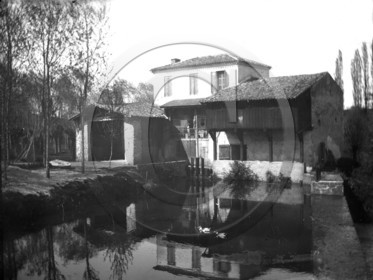 AG 658 ferme mare canards  .jpg