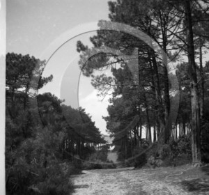 arc 4307 garde feu foret .jpg