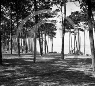 arc 4647 les Abatilles .jpg