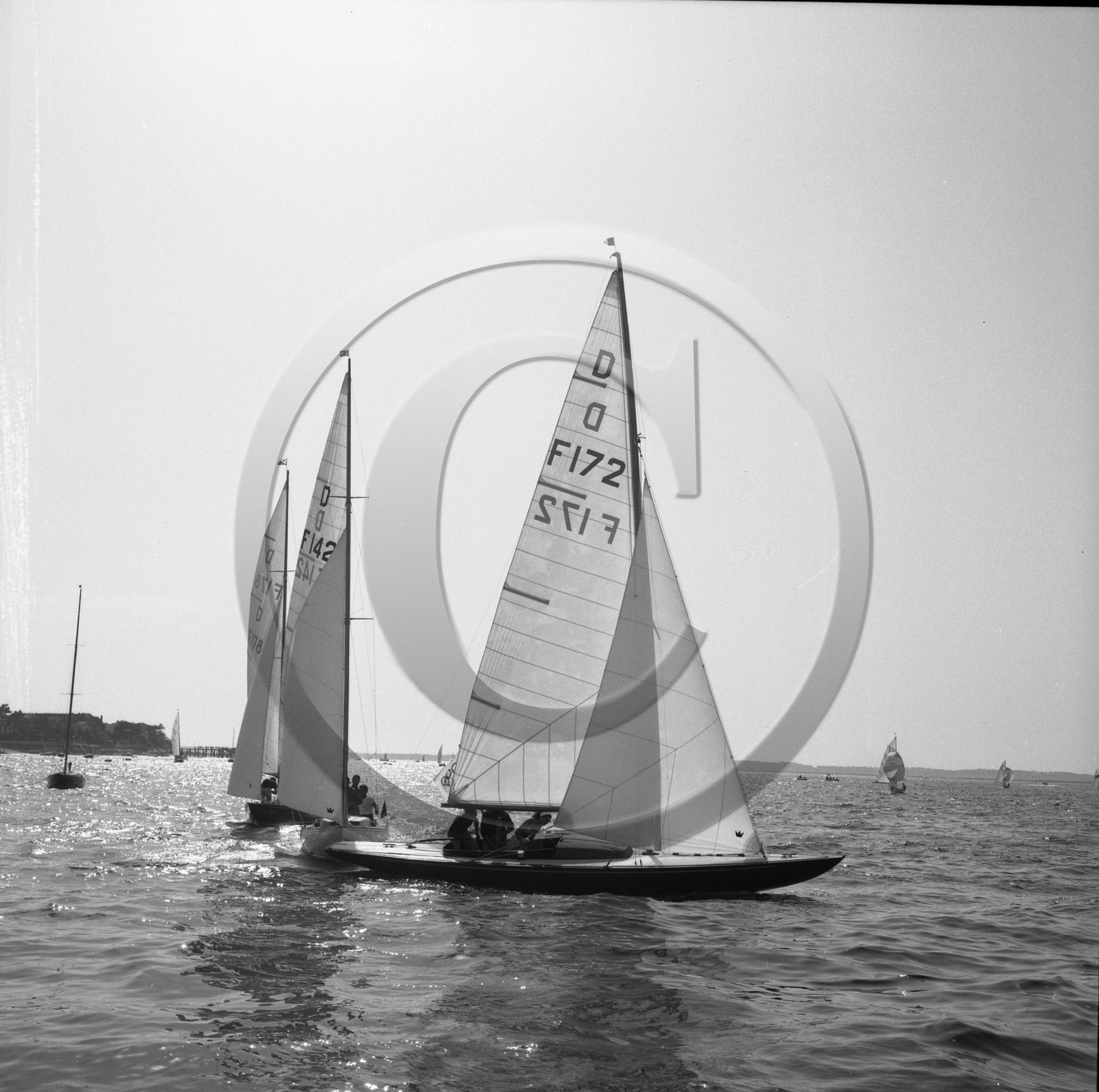 arc 2301 régate de dragons .jpg