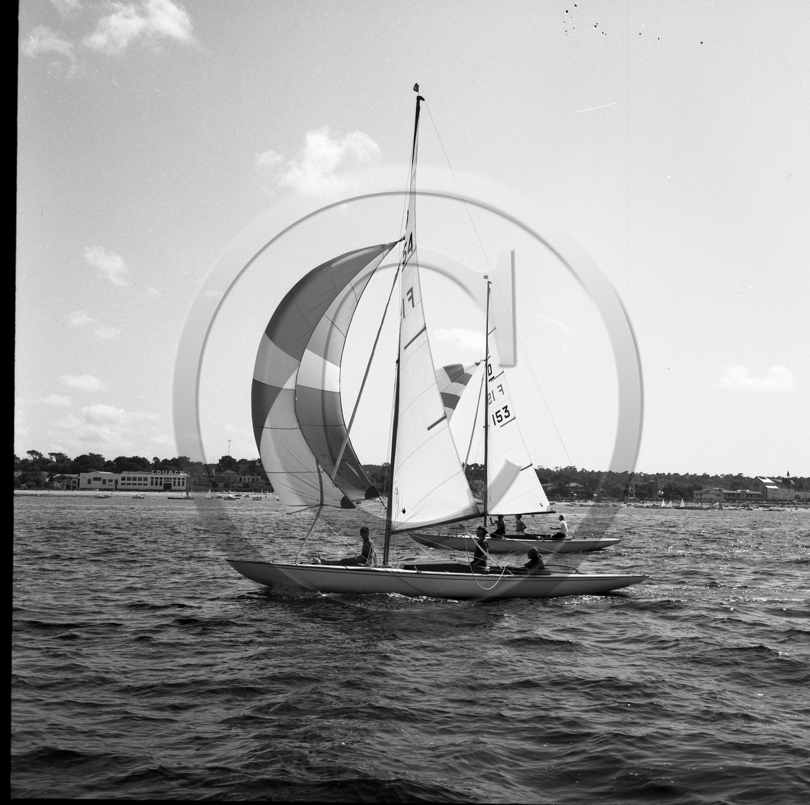 arc 2298 régate de dragons .jpg