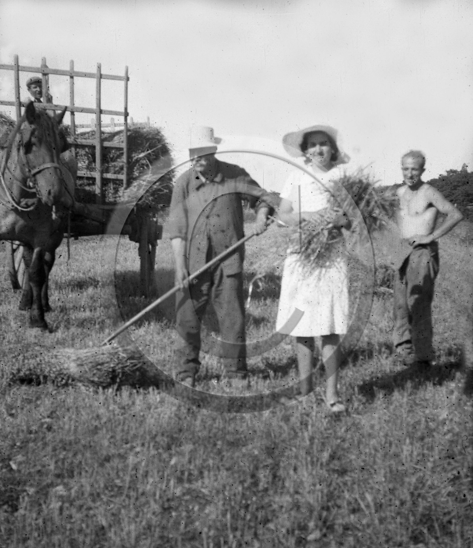 AG 624 ramassage du foin  .jpg