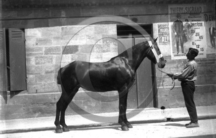 BX 470  rue la Cornèe.jpg