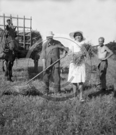 AG 624 ramassage du foin  .jpg