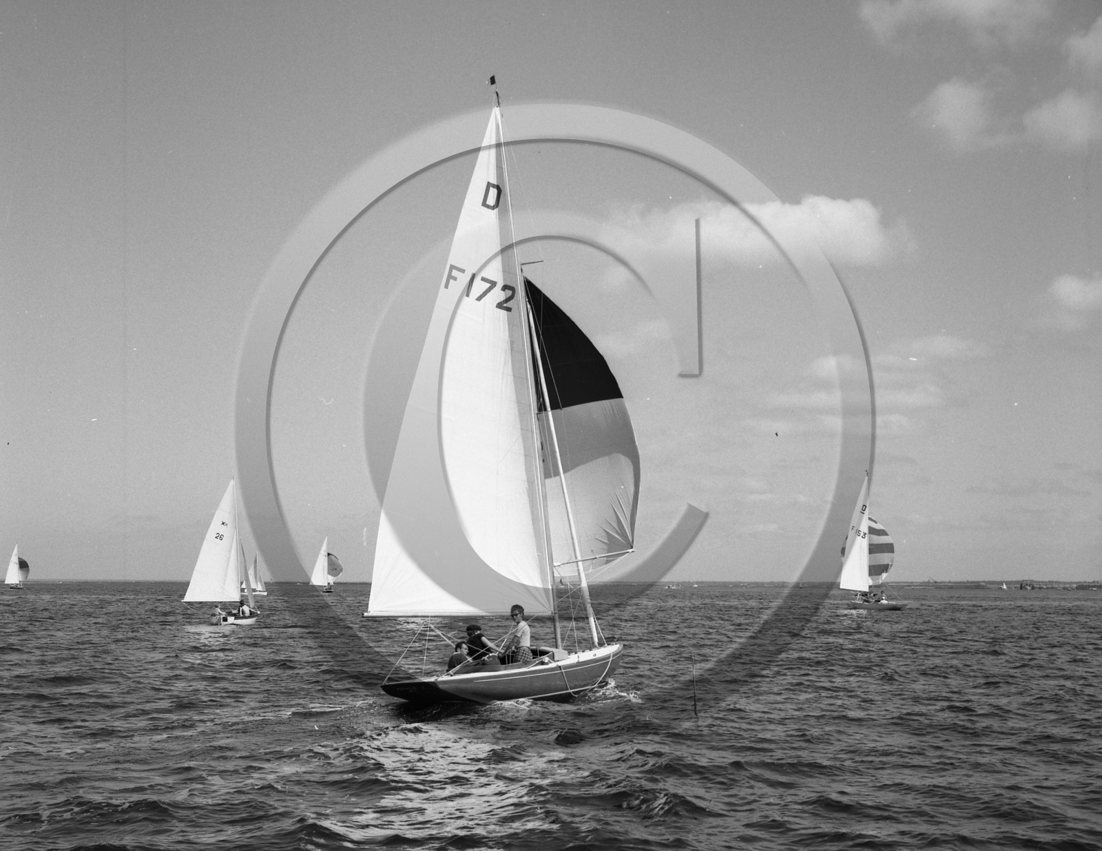 arc 2305 régate de dragons  .jpg