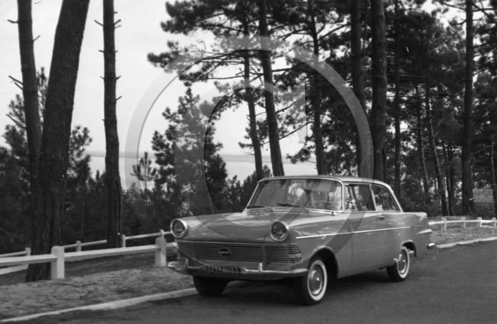 arc 4287 Cap Ferret .jpg