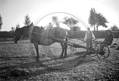 AG 557 outil agricole .jpg