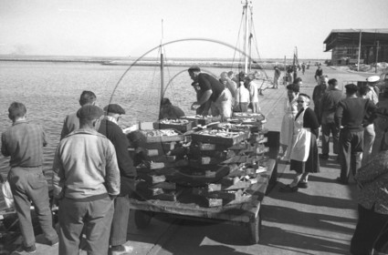 Arcachon -2 octobre 61 casiers à sardines sur port .jpg