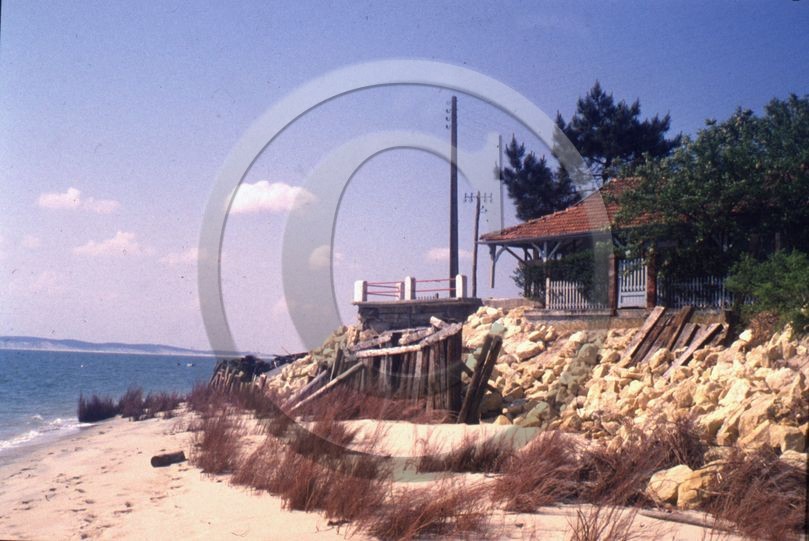 arc 4016  Hortense.jpg