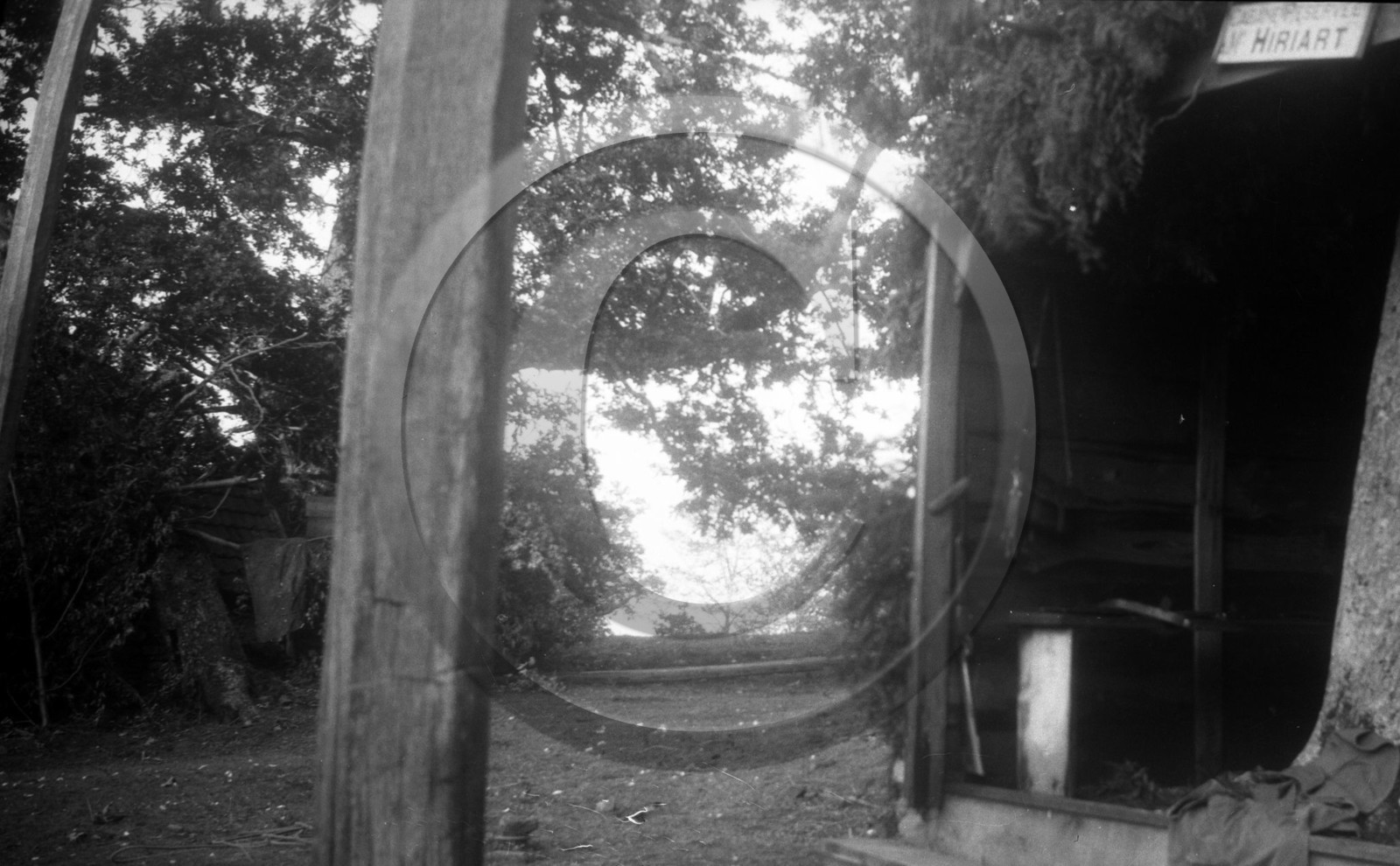 vi  489 chasse a la palombe Sare 1929 cabane de Mr Hiriart  dpt 64.jpg