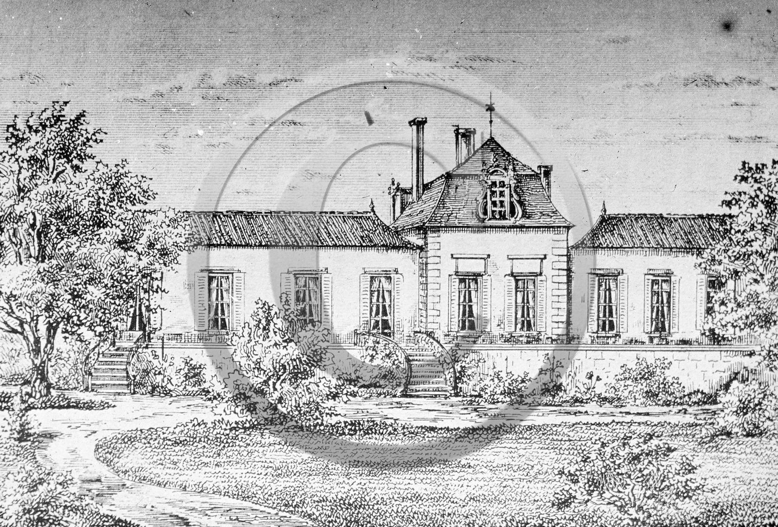 BX 260 Chateau Leoville.jpg