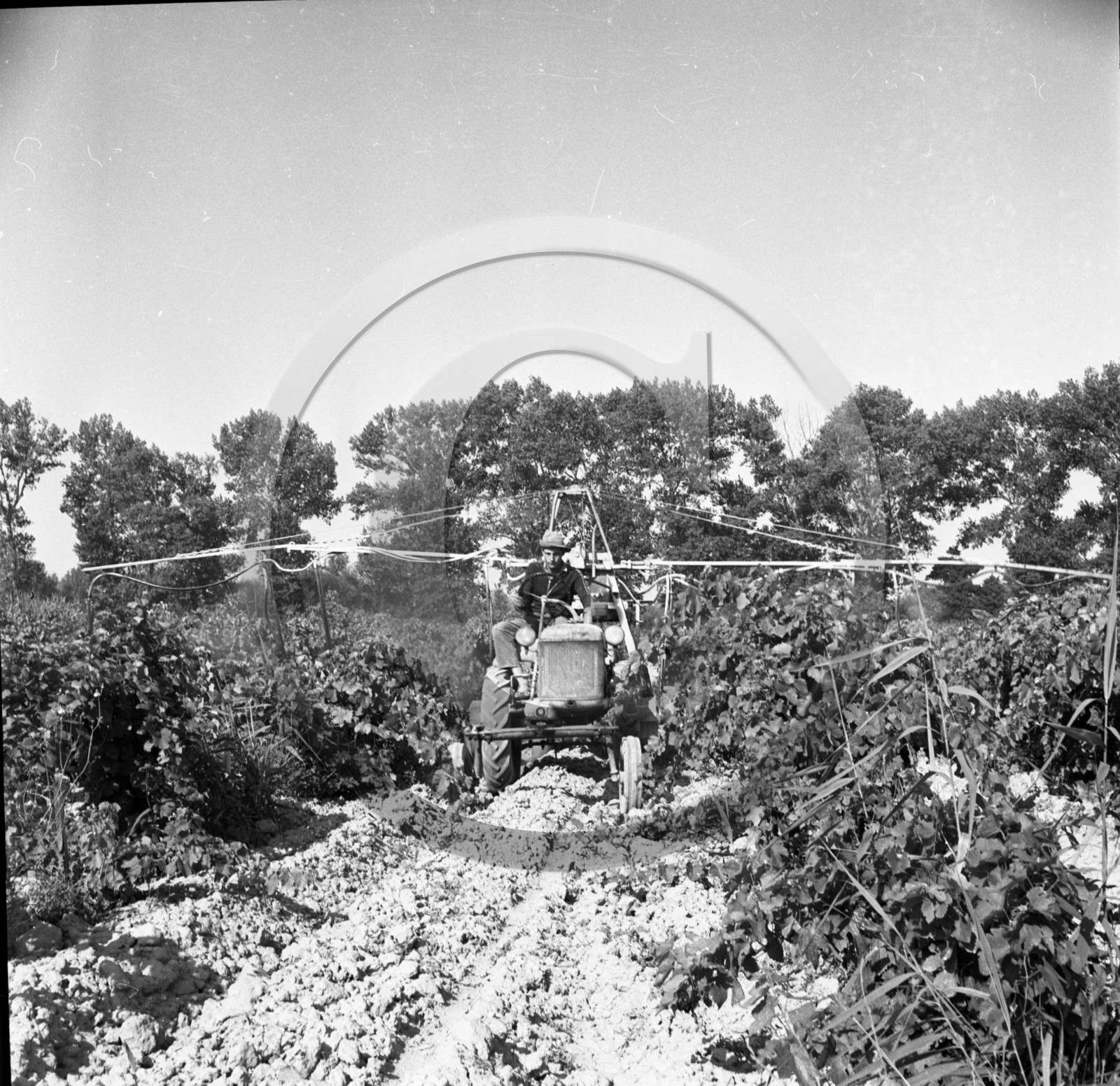 AG 543 sulfatage des vignes avec tracteur .jpg