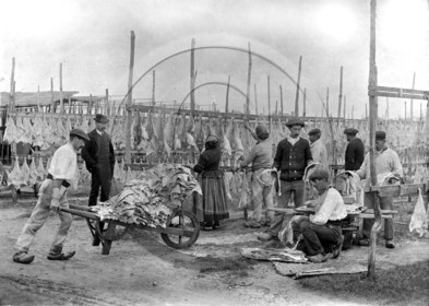 BX 430   photo voir album .jpg