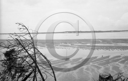 arc 4409 Abatilles .jpg