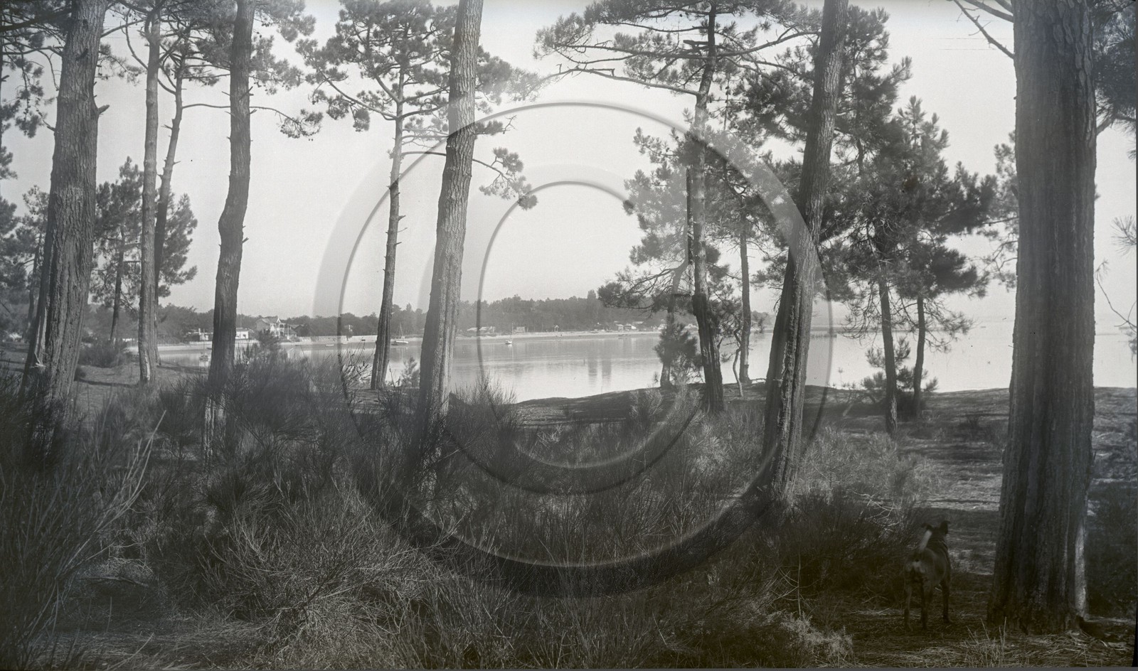 arc 1535 l'herbe.jpg